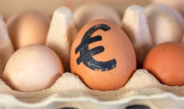 Eier-Alarm in Österreich: Treibt Engpass die Preise nach oben?