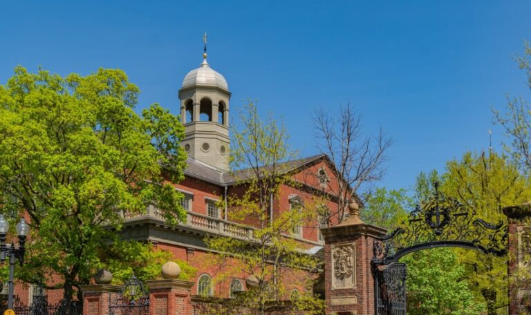 Köpfe, Hände, Gehirne“: Leichenhandel an Elite-Uni aufgeflogen