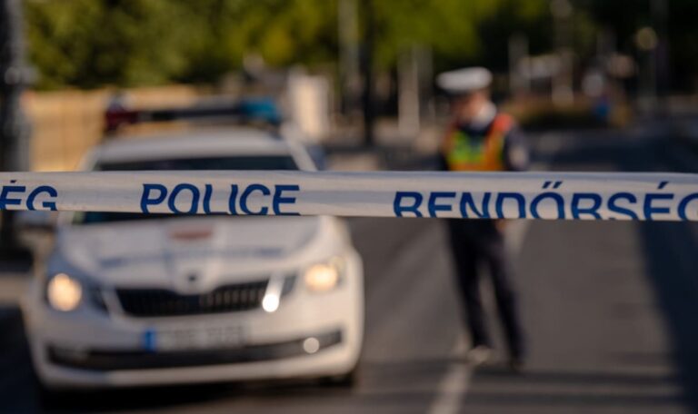 Vermisst seit Dezember: 65-Jähriger leblos in Ungarns Wildnis entdeckt