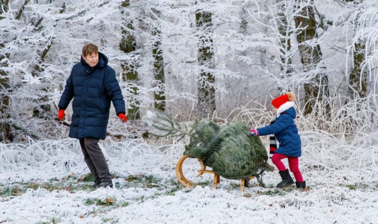 Klimawandel frisst Weihnachtsschnee: Wo Österreich einst im Weiß versank
