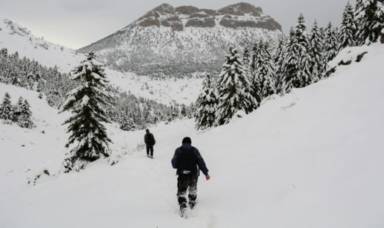 Ignorierte Warnzeichen: Student kollabiert bei Bergtour – Nachteinsatz