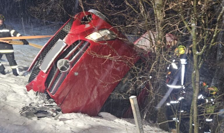 Bäume verhinderten Absturz: Jugendliche in Autowrack eingeklemmt (FOTOS)