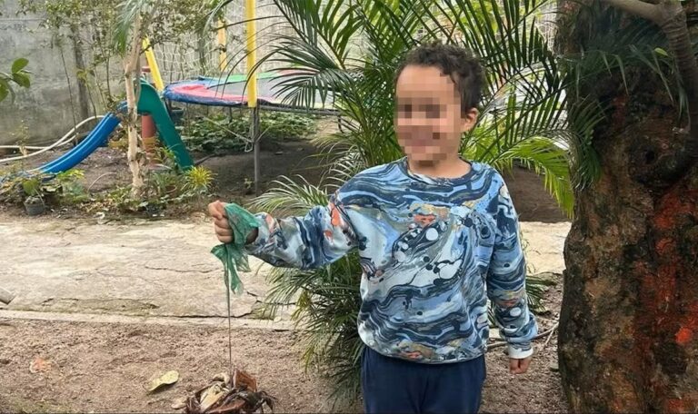Am Schulweg verschwunden: Noah (8) nach zwei Tagen gefunden