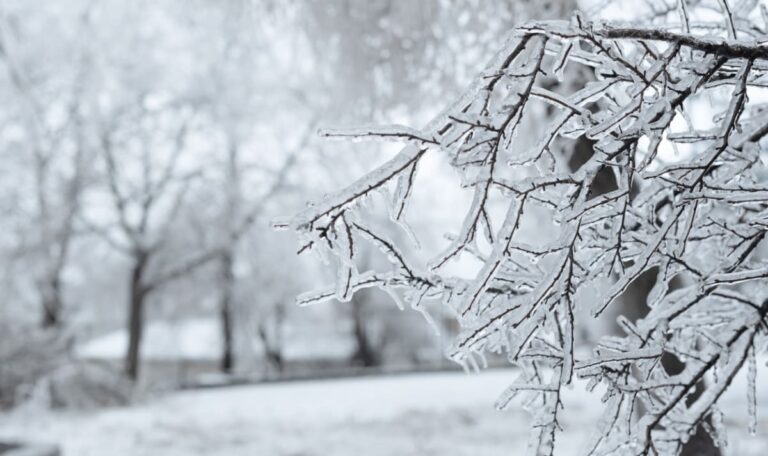 Kälte-Alarm: Selbst Wien versinkt im Frost