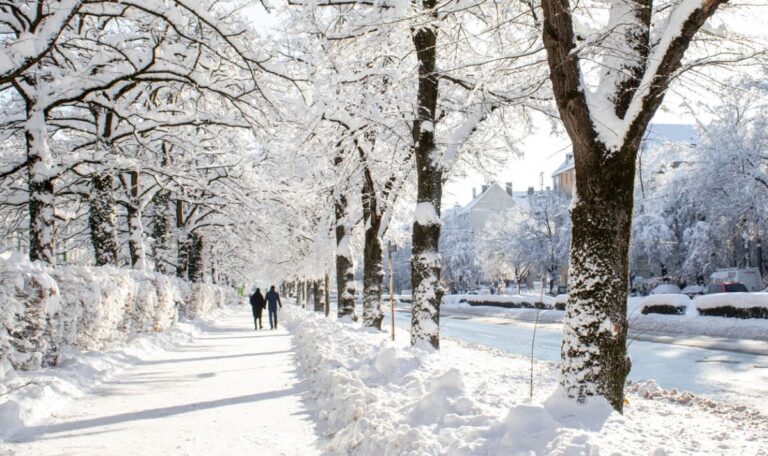 Mittelmeertief bringt Wintereinbruch: Schnee-Alarm bis in Niederungen