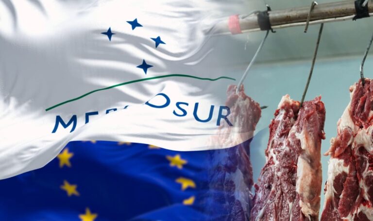 EU-Mercosur-Beben: Südamerika-Fleisch bald auf unseren Tellern