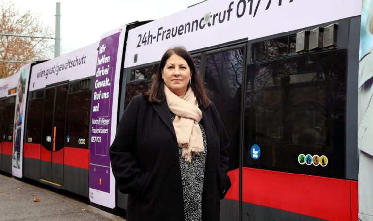 Wohnbau-Stadträtin & Vizebürgermeisterin: Kathrin Gaál tritt zurück
