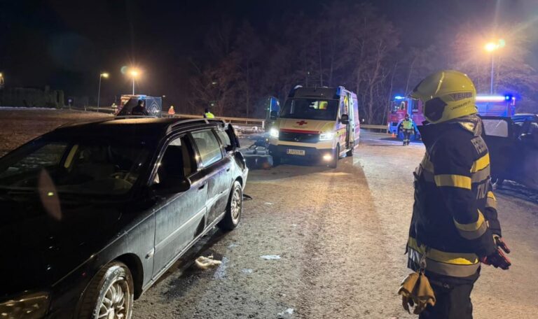 Auto schleudert 200 Meter – Hund stirbt, Herrchen schwer verletzt