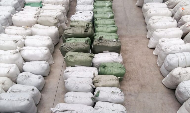 27 Tonnen Marihuana: Größter Drogenfund in Nordmazedoniens Geschichte