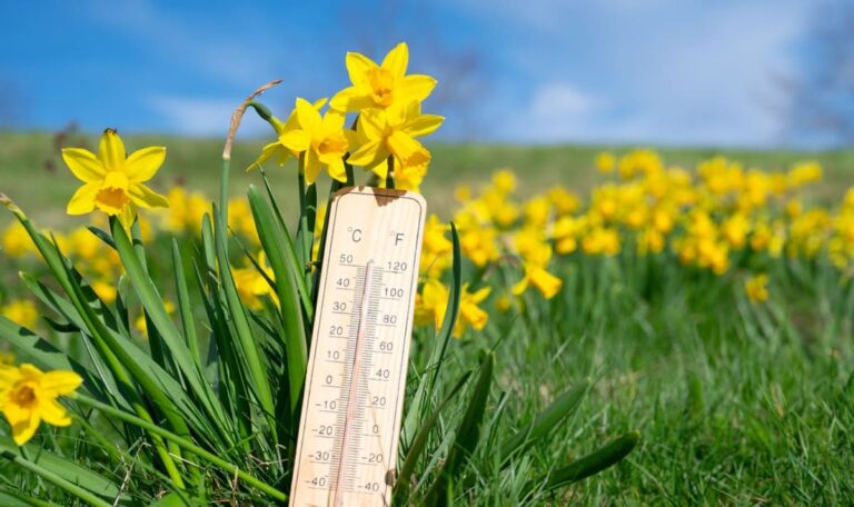 Erst Schnee, dann 20 Grad: Österreich erlebt Wetter-Achterbahn