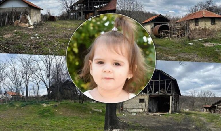 Danka verschwand vor zwei Jahren – Täter widerrufen Geständnis