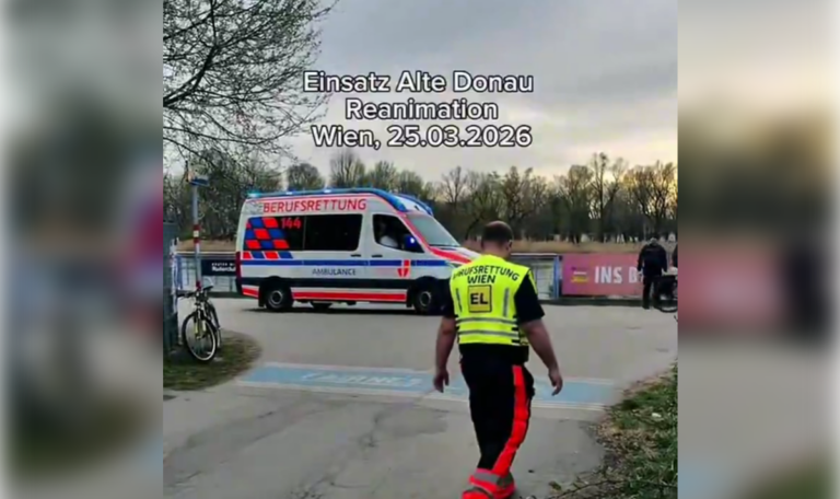 Großeinsatz an Donau: Taucher bergen leblosen Mann (VIDEO)