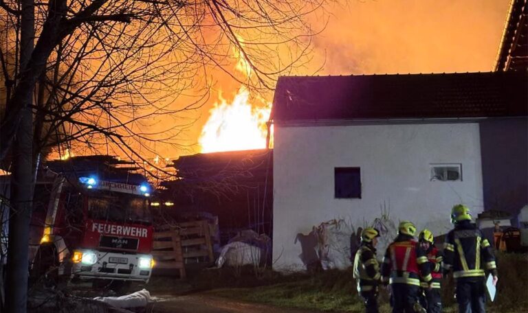 Großeinsatz nach Mitternacht: Lagerhalle in Vollbrand (FOTOS)