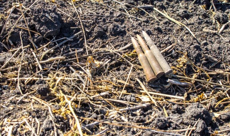 Bub (11) findet zehn Kilo Munition und Handgranate im Garten