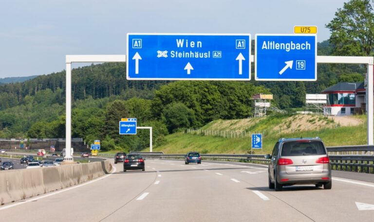 Mysteriöses Tier auf A1 überfahren – Experten rätseln über Wolf