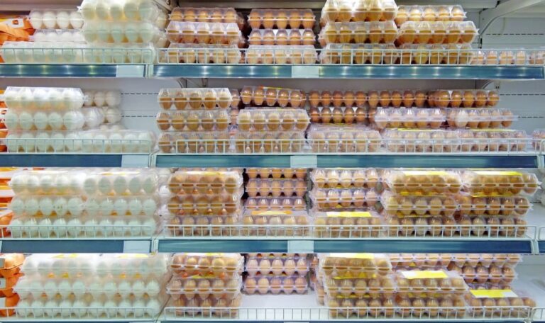 Eiermangel spitzt sich zu – Gastronomie kauft im Supermarkt