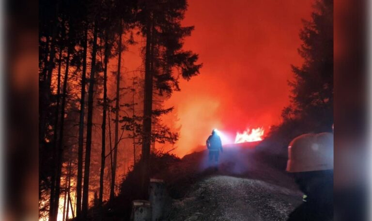 Waldbrand frisst sich durch 35 Hektar – Hubschrauber im Einsatz