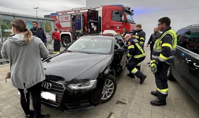 Kleinkinder in Auto gefangen – Feuerwehr schlägt Scheibe ein (FOTOS)