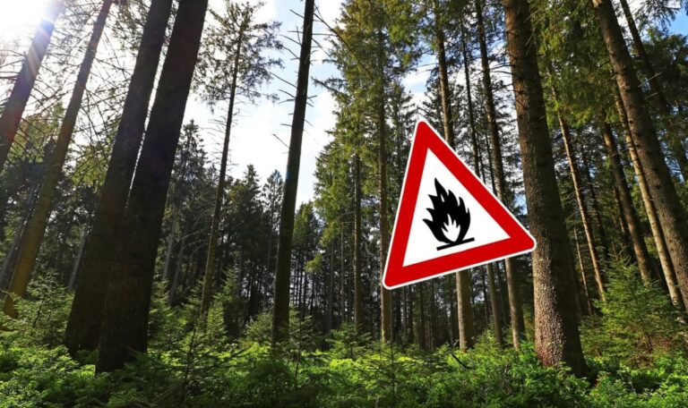 Waldbrand-Alarm: Jetzt drohen bis zu 7.270 Euro Strafe