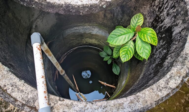 Quellen versiegen – erste Gemeinden rationieren Wasser