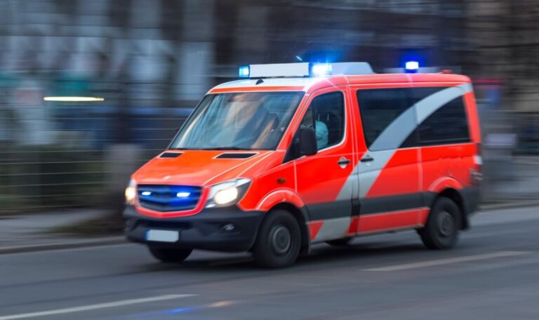 Hund beißt Kind (5) in den Kopf – Besitzer betrunken