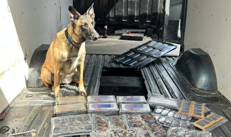 Blutige Schlägerei entlarvt Kokain-Ring – Drogen im Wert von 645.000 Euro