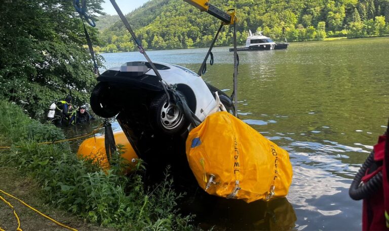 Rückwärts in die Donau: Frau und Vierbeiner entkommen aus sinkendem PKW (FOTOS)