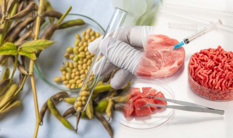 Gen-Essen ohne Kennzeichnung? Brüssel plant neue Regeln – schon kommende Woche!