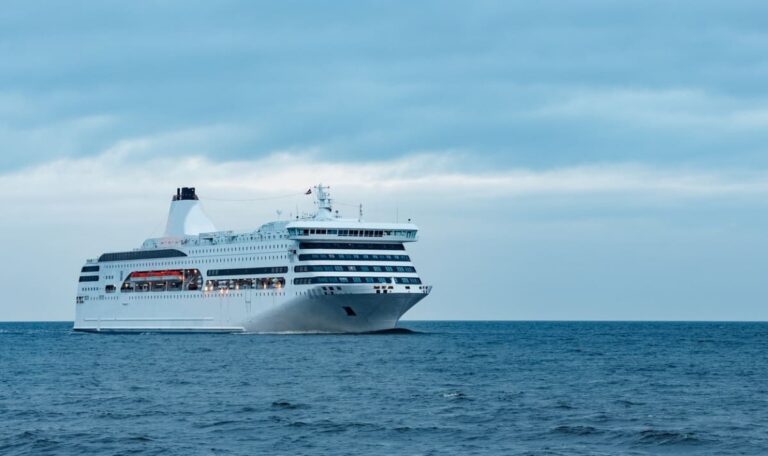 WHO warnt nach Hantavirus-Ausbruch auf Kreuzfahrtschiff