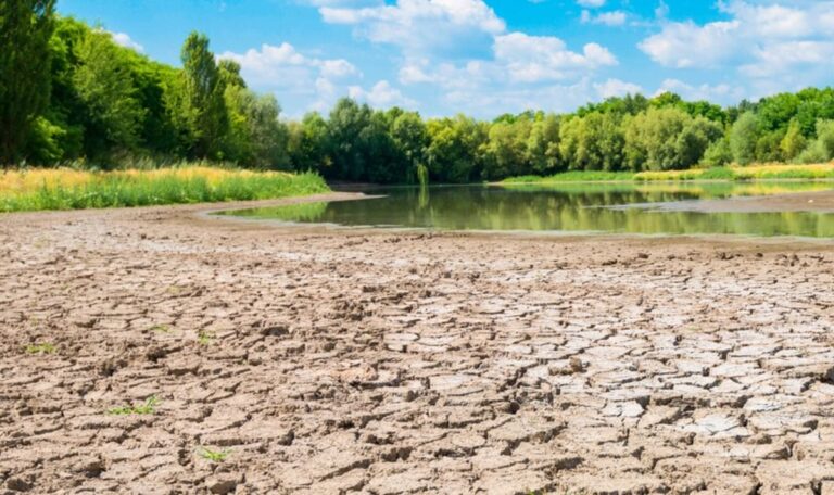 Lobau stirbt: Österreichs Vorzeige-Au trocknet komplett aus