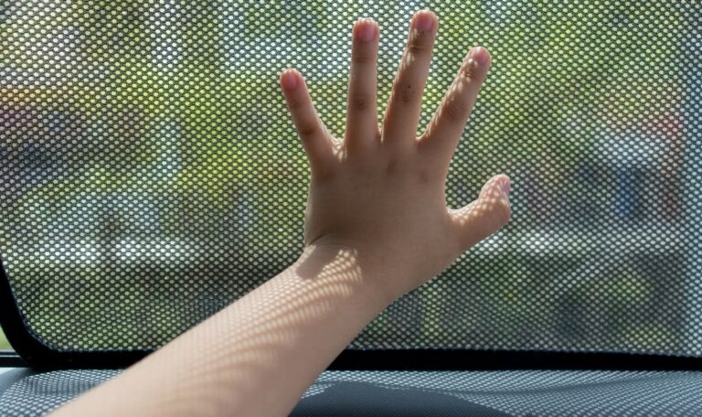 Kind oder Hund im heißen Auto: Wann darf man eine fremde Scheibe einschlagen?