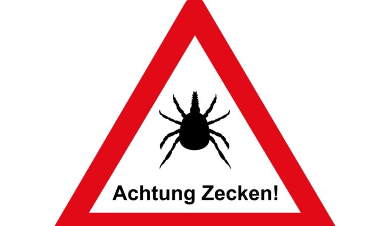 Parasiten-Schock an Adria: TV-Team muss Dreh abbrechen