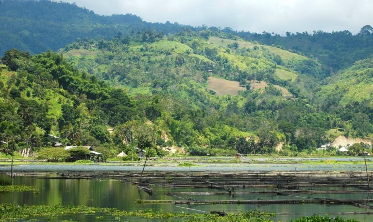 Philippinen: Starkes Erdbeben fordert mindestens 15 Todesopfer