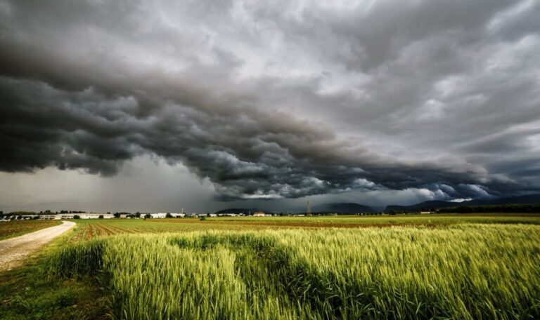 Bis zu 35 Grad: Jetzt drohen kräftige Gewitter in Österreich