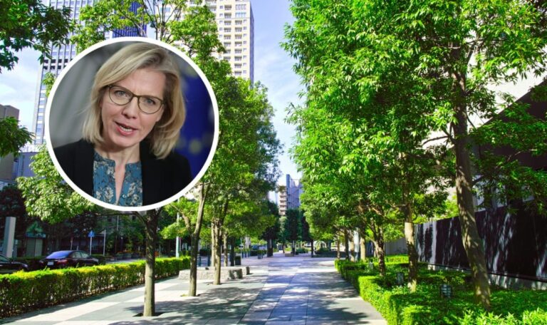 Wien schmort: Grüne fordern jetzt 100.000 Bäume gegen Gluthitze