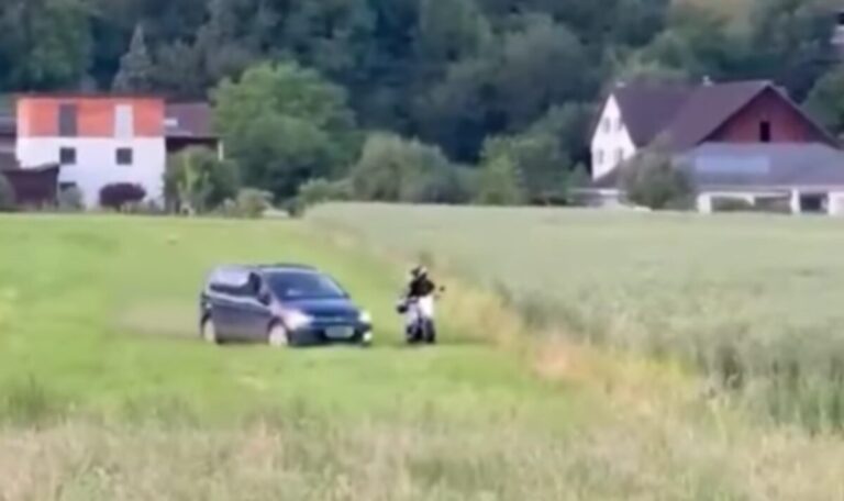 Schlag ohne Widerstand: Polizeiaktion sorgt für Aufregung (VIDEO)