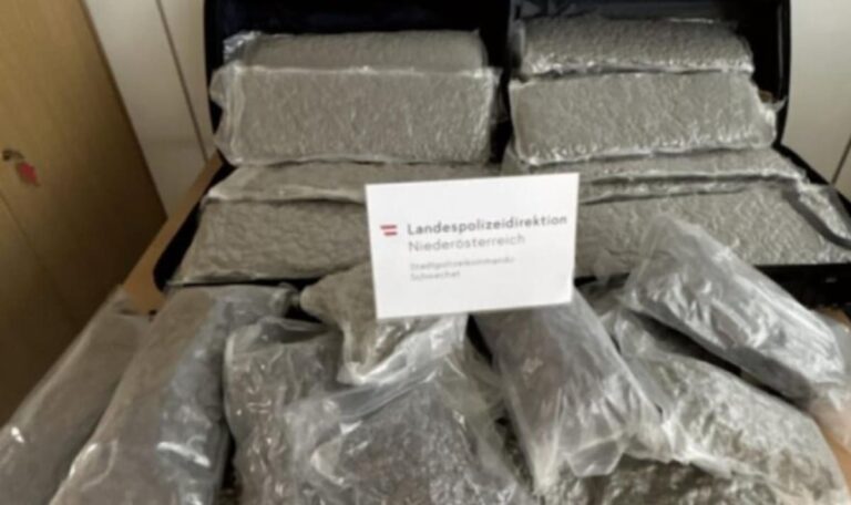 Großer Drogenfund in Schwechat: 49 Kilo Cannabis sichergestellt