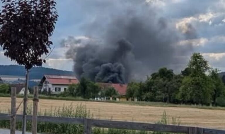 Krieg gegen Wespen: Pensionist setzt Grundstück in Brand (FOTOS)