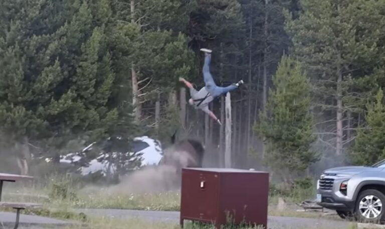 Wilder Bulle stürmt auf Campingplatz und schleudert Mann durch die Luft (VIDEO)