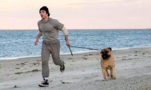 Vom Niemand zur Legende: Neuer Film erzählt Stallones Rocky-Weg