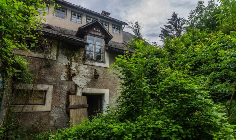 Neue Details im Fall der eingemauerten 99-Jährigen: Arzt-Sohn kassierte halbe Million