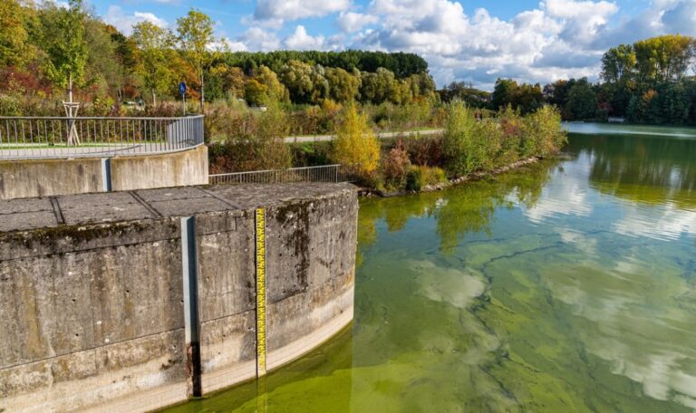 Donau: Rekord-Niedrigwasser legt mysteriöses Schiffswrack in Kroatien frei