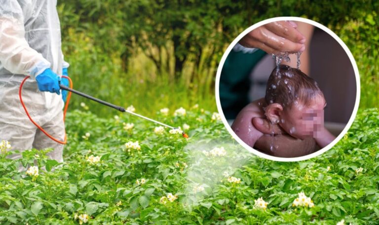 Von EU zugelassenes Pestizid lässt Hirn schrumpfen – Brisante Studie erschüttert Behörden