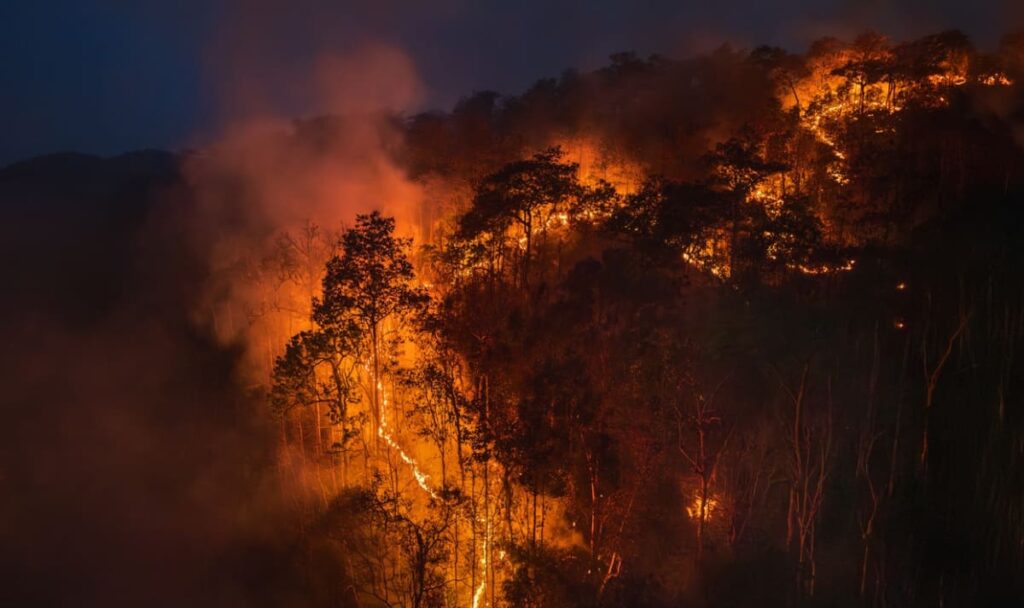 Waldbrand in Südfrankreich: Rund 1.000 Feuerwehrleute im Einsatz