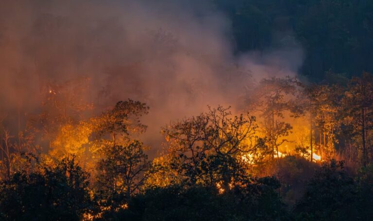 Inferno an der Atlantikküste: 20.000 fliehen vor Flammen