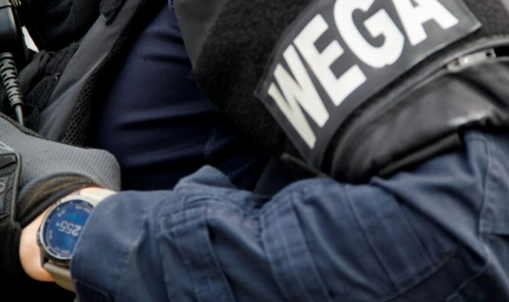 Stock gegen Polizei: WEGA muss 31-Jährigen in Meidling überwältigen