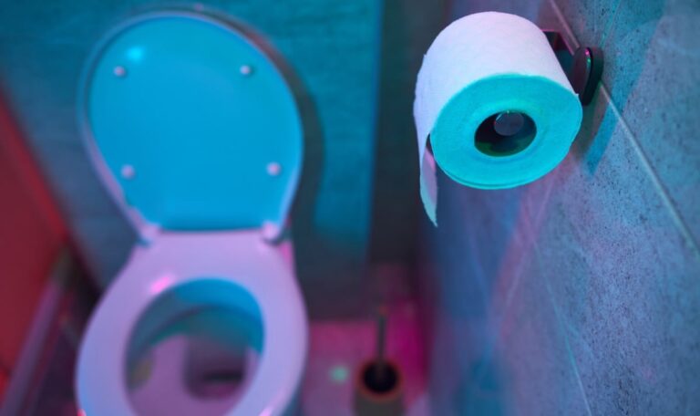 Trinkwasser fürs Klo: Österreich streitet über Wasserverschwendung