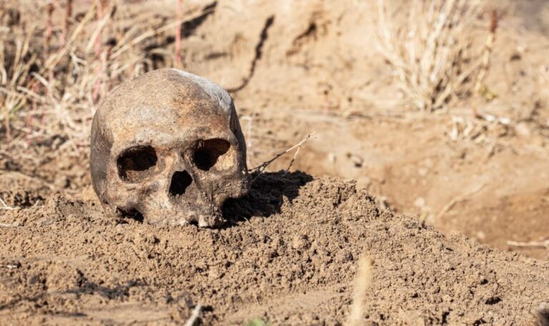 Schaurige Gartenarbeit: Familie gräbt kistenweise Menschenknochen aus