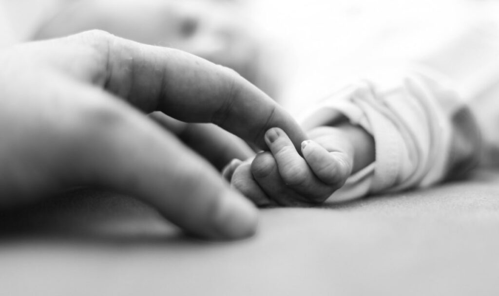 Lebende Geburt enthüllt Erschreckendes: Fünf Babyleichen in Kartons versteckt