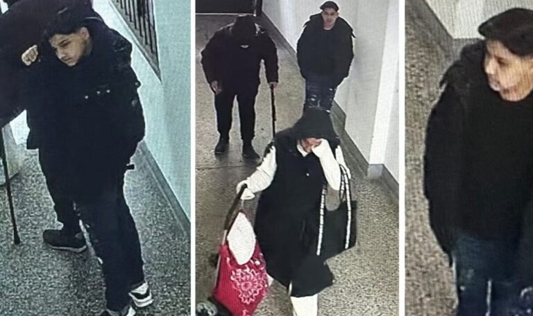 Trickdiebe bieten Hilfe an – und räumen Wohnung aus
